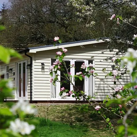 Orchard Cottage - Kent Lyminge Exterior photo