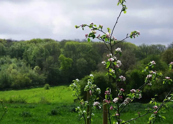Orchard Cottage - Kent