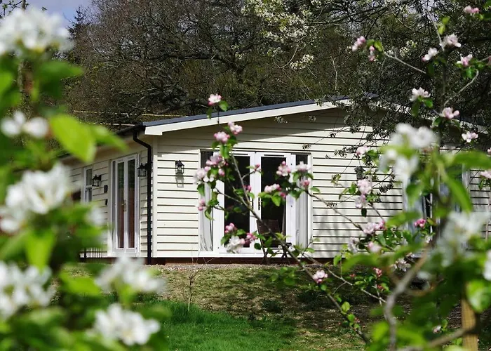 Orchard Cottage - Kent
