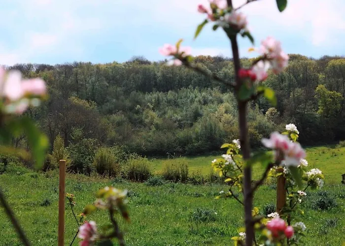 Orchard Cottage - Kent
