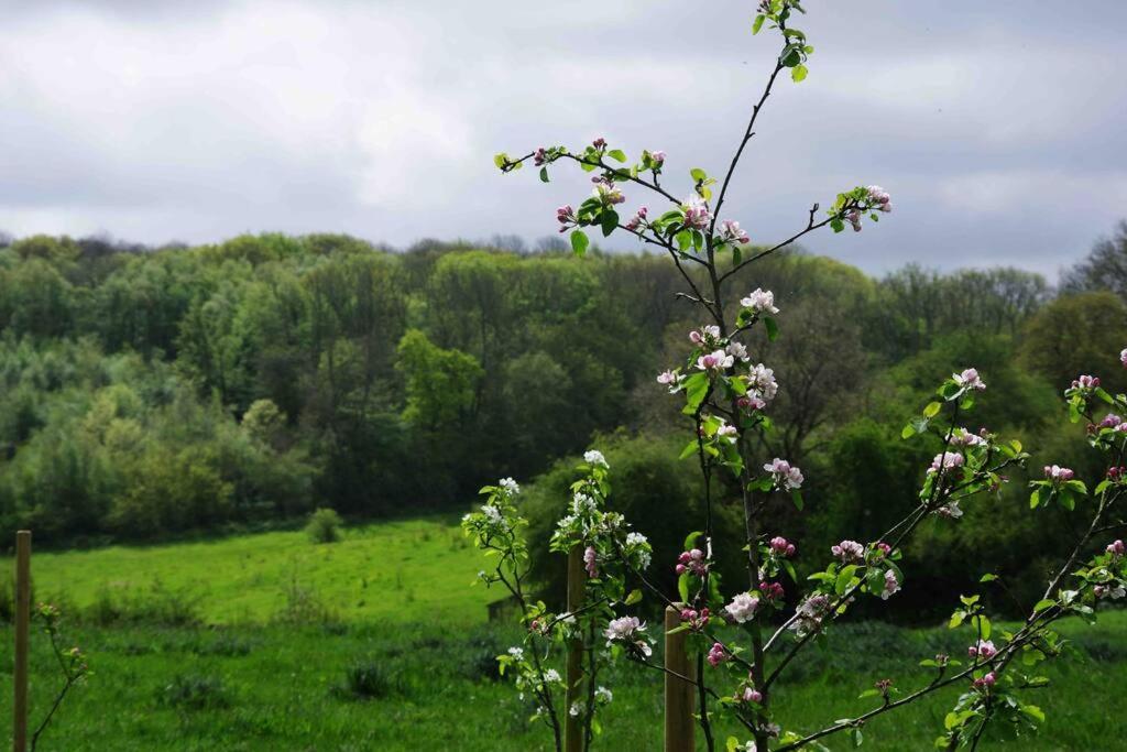 Orchard - Kent Holiday home Lyminge