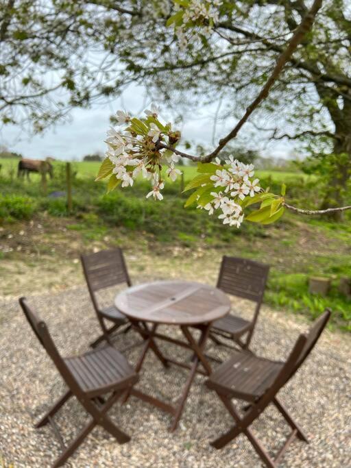 Orchard - Kent Holiday home