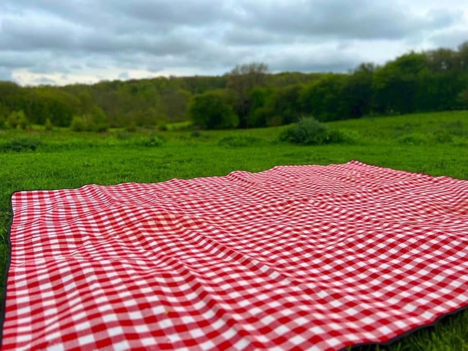 Orchard - Kent *