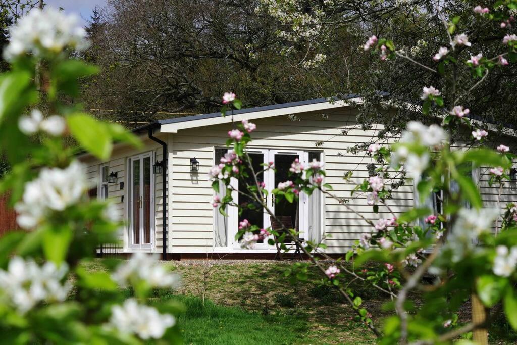Holiday home Orchard - Kent Lyminge