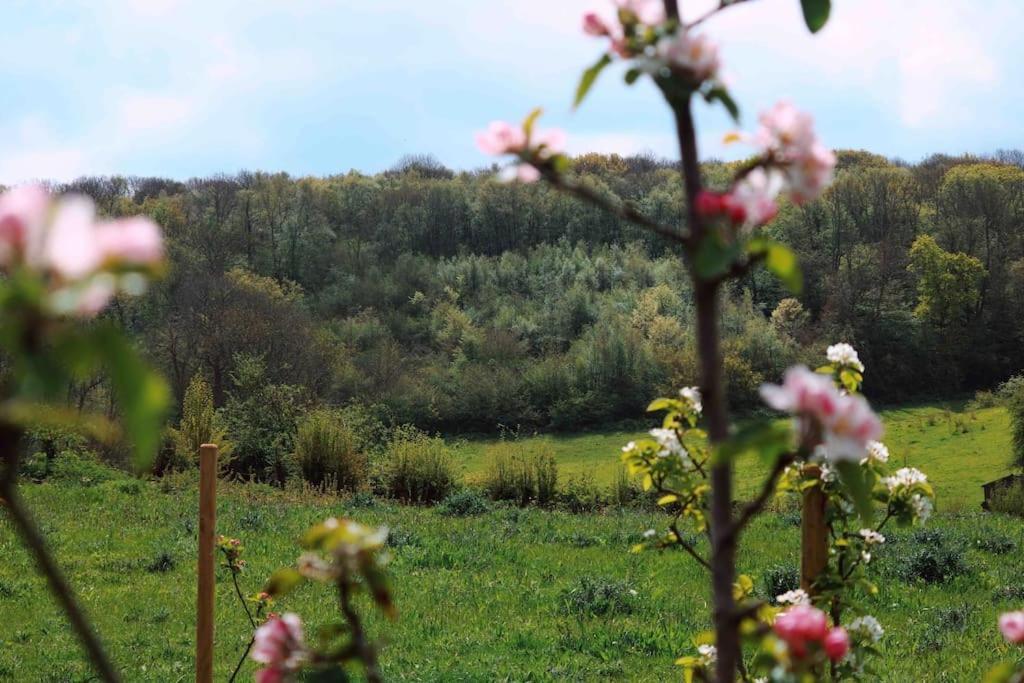 Orchard - Kent